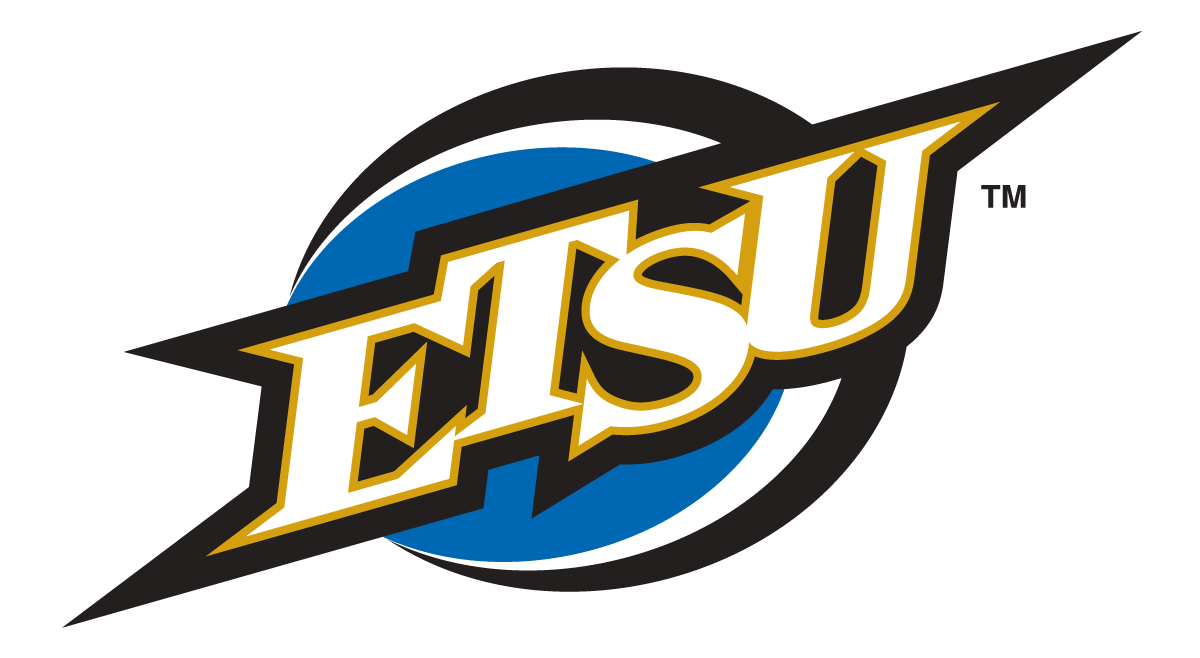 ETSU Buccaneers 2002-2013 Alternate Logo v2 diy iron on heat transfer